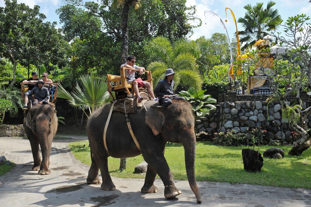 tour bali zoo