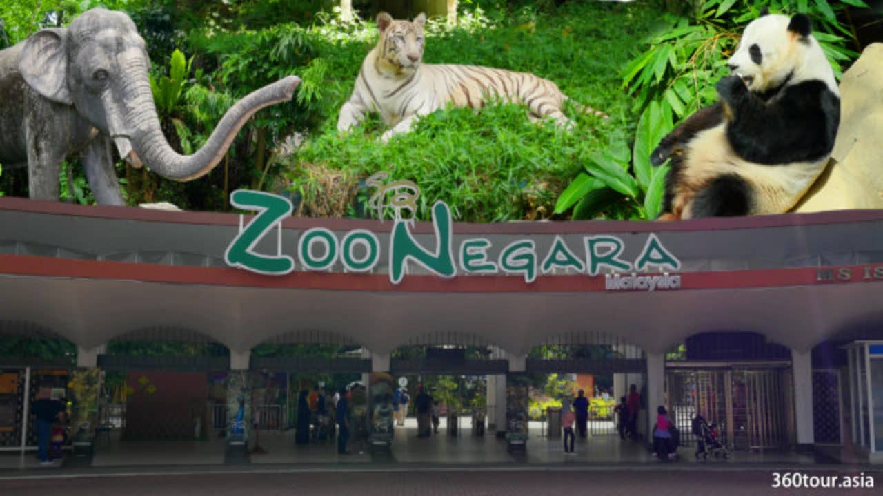 research in zoo negara