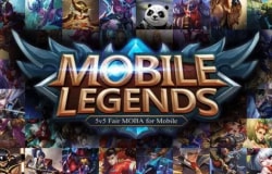 Mobile Legends Gift Cards