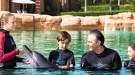 Dolphin Bay Atlantis Tickets