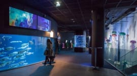 Aquarium de Paris Tickets