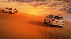 Desert Safari Sharjah Tours