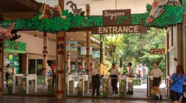 Singapore Zoo Tickets