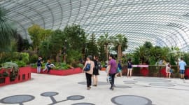 Gardens by The Bay Tickets