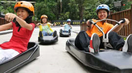 Skyline Luge Sentosa Tickets