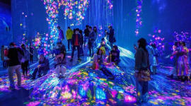 teamLab Planets Tokyo Tickets