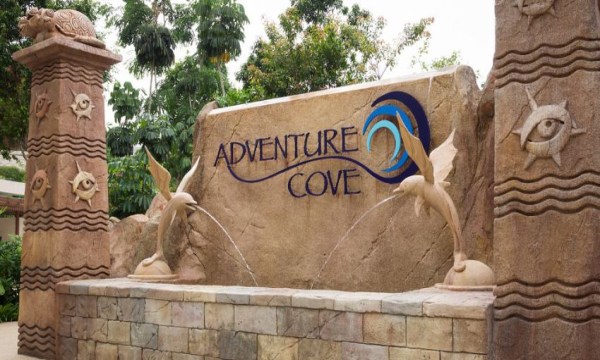 Adventure Cove Waterpark Tickets