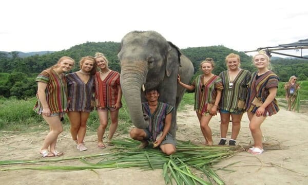 Elephant Jungle Sanctuary Chiang Mai Tours