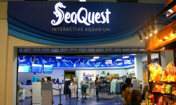 SeaQuest Las Vegas Tickets