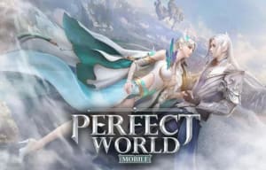 Perfect World Gift Card