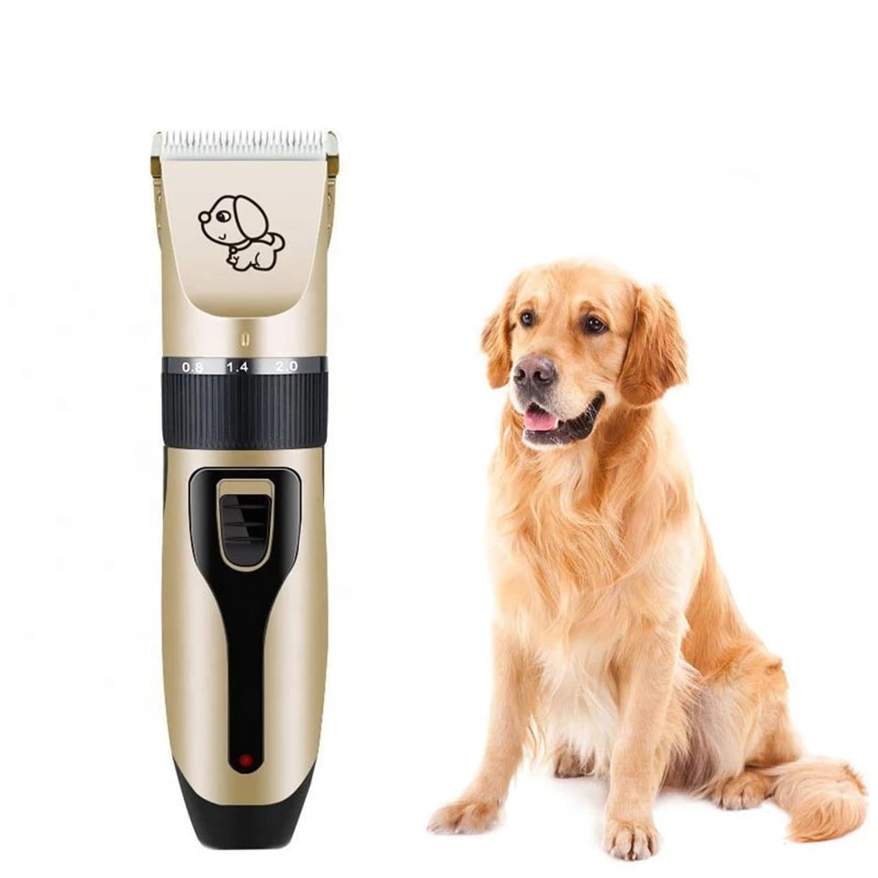 Pets | në Shqipëri | Gugëllo