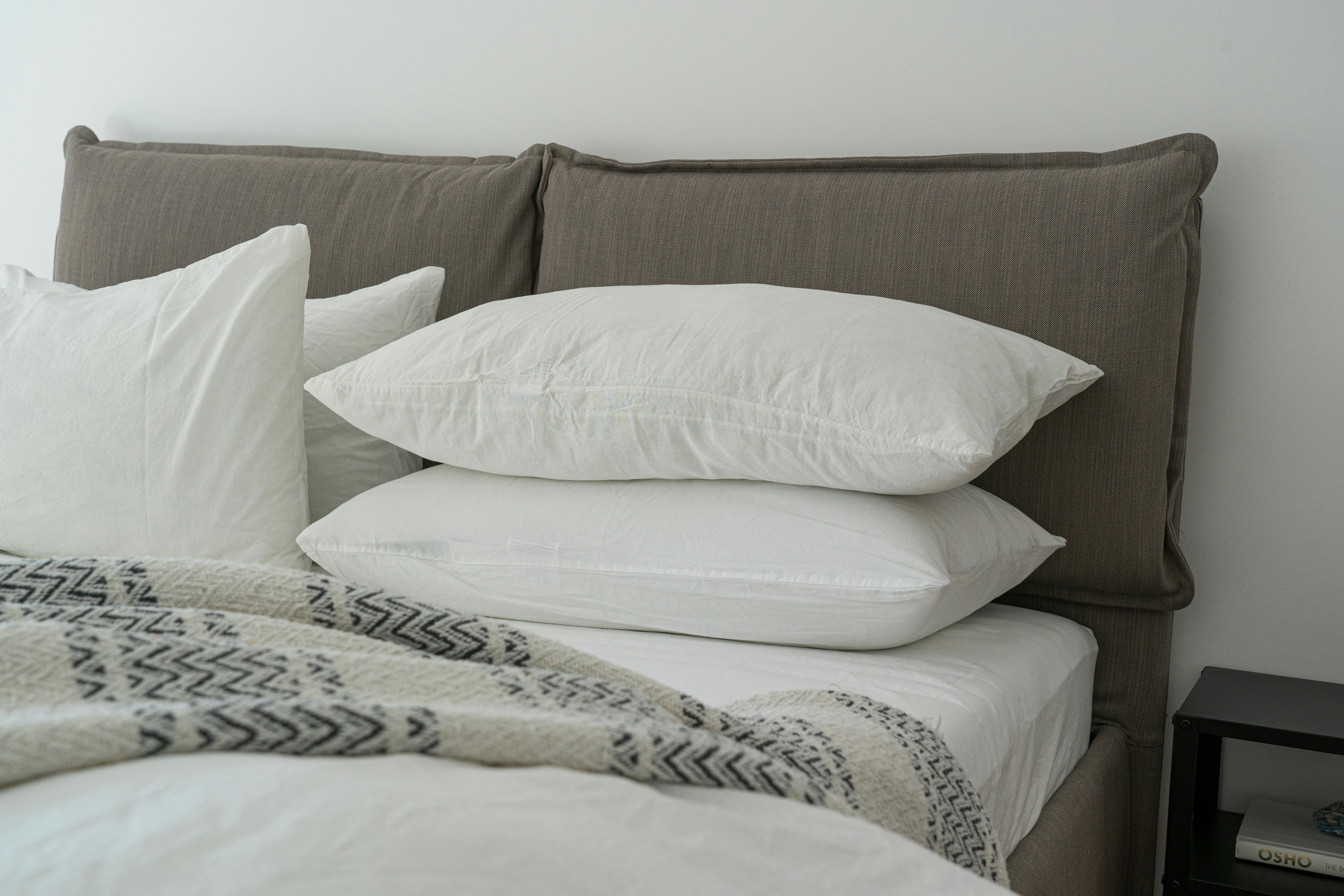 Feston suites