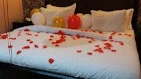 Ellis Suites Limited - Hotel image