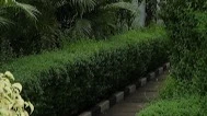 Awa-Diamond Hotel - Hotel image