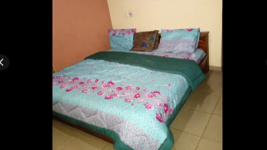 Ezinne Hotels and Garden - Hotel image