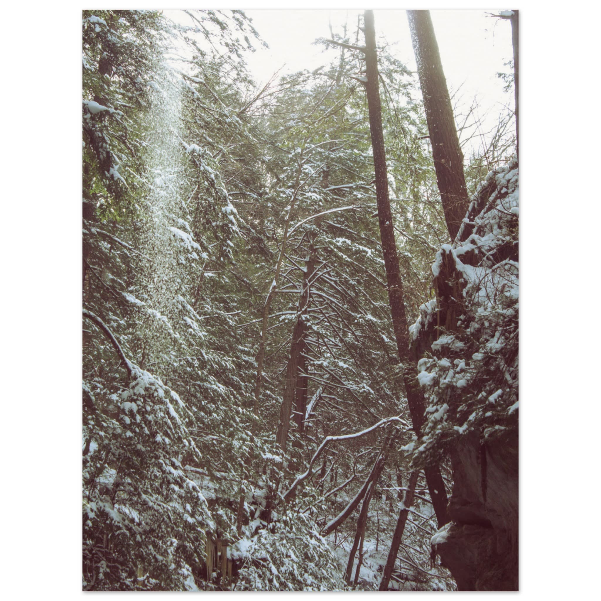 Hocking Hills Snow Fall In The Forest Photo Wall Art 8cd2e168-14ee-46ae-a21e-3e87a7e808c7