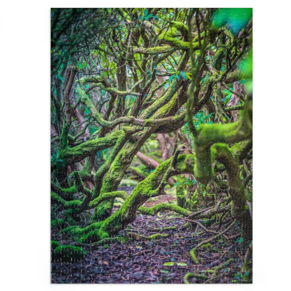 Into the Forest Jigsaw Puzzle (252, 500-Piece) Into the Forest Jigsaw Puzzle (252, 500-Piece)