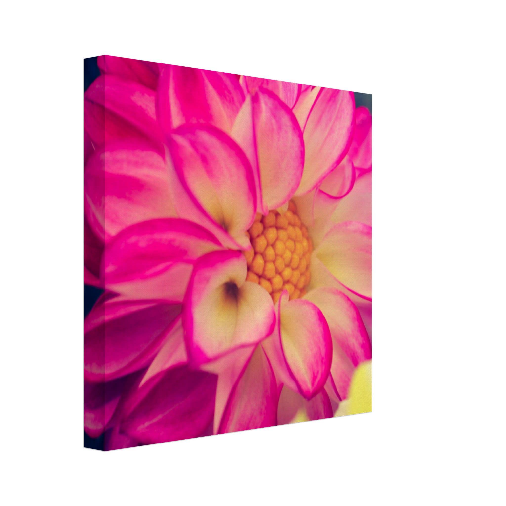 Dahlia Photo Photo Wall art 07ac73b4-4260-4a29-a191-a0830159bded