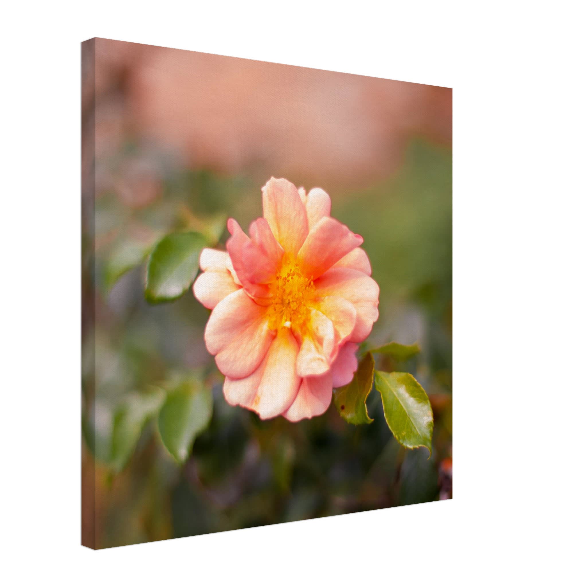 Dog Rose Photo Wall art 1d625239-6833-4b41-8843-940ee9353114