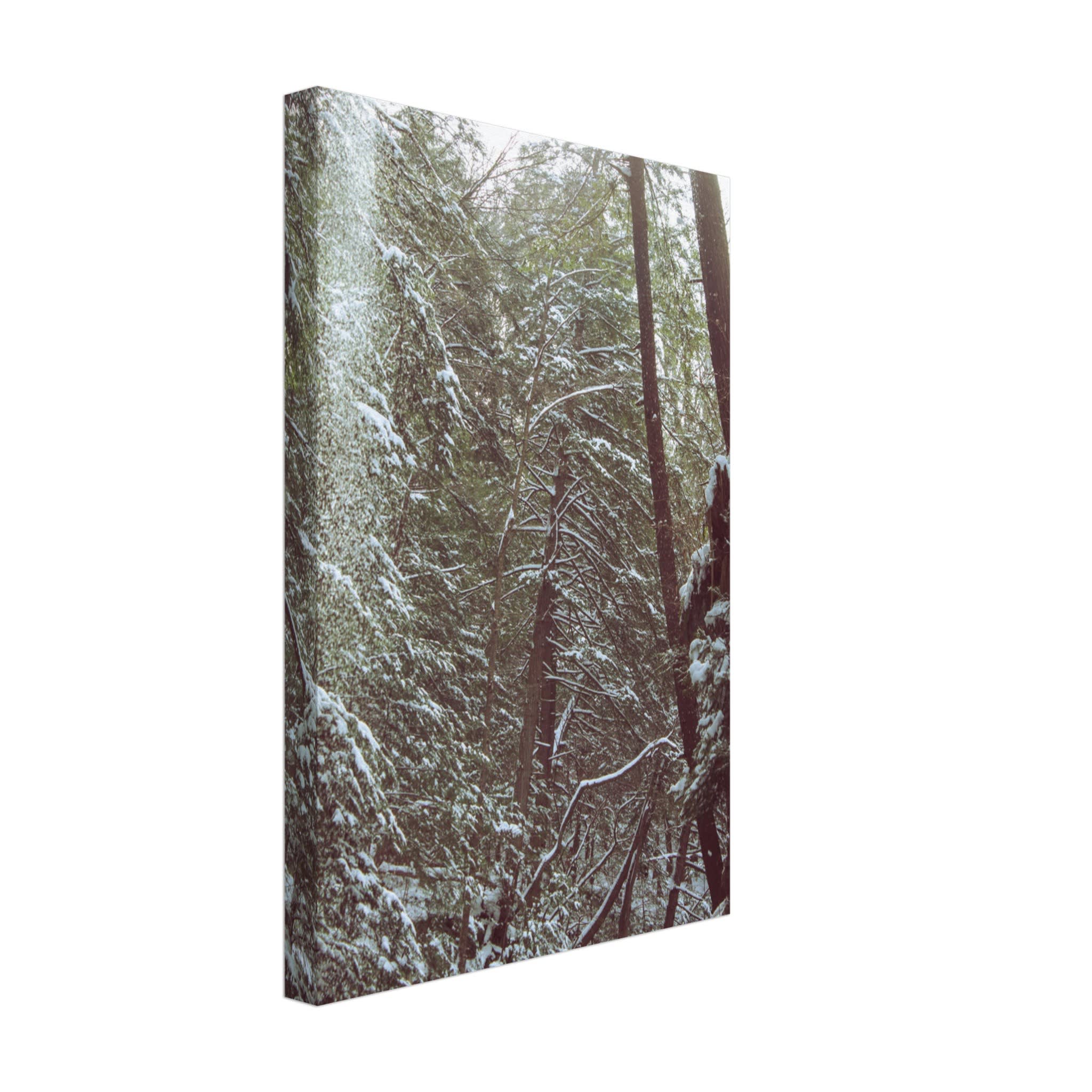 Hocking Hills Snow Fall In The Forest Photo Wall Art 94db3803-a170-4343-bb06-df9c756910c4