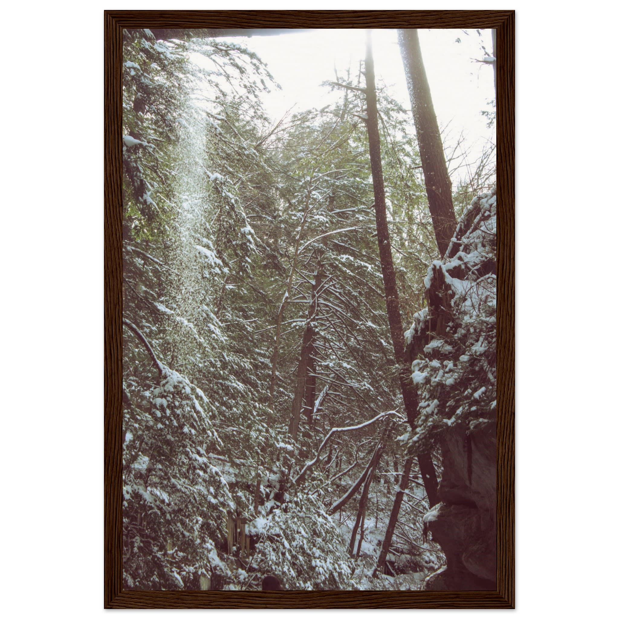 Hocking Hills Snow Fall In The Forest Photo Wall Art b33c2da1-8ac0-4139-868e-4dc7c0d170ef