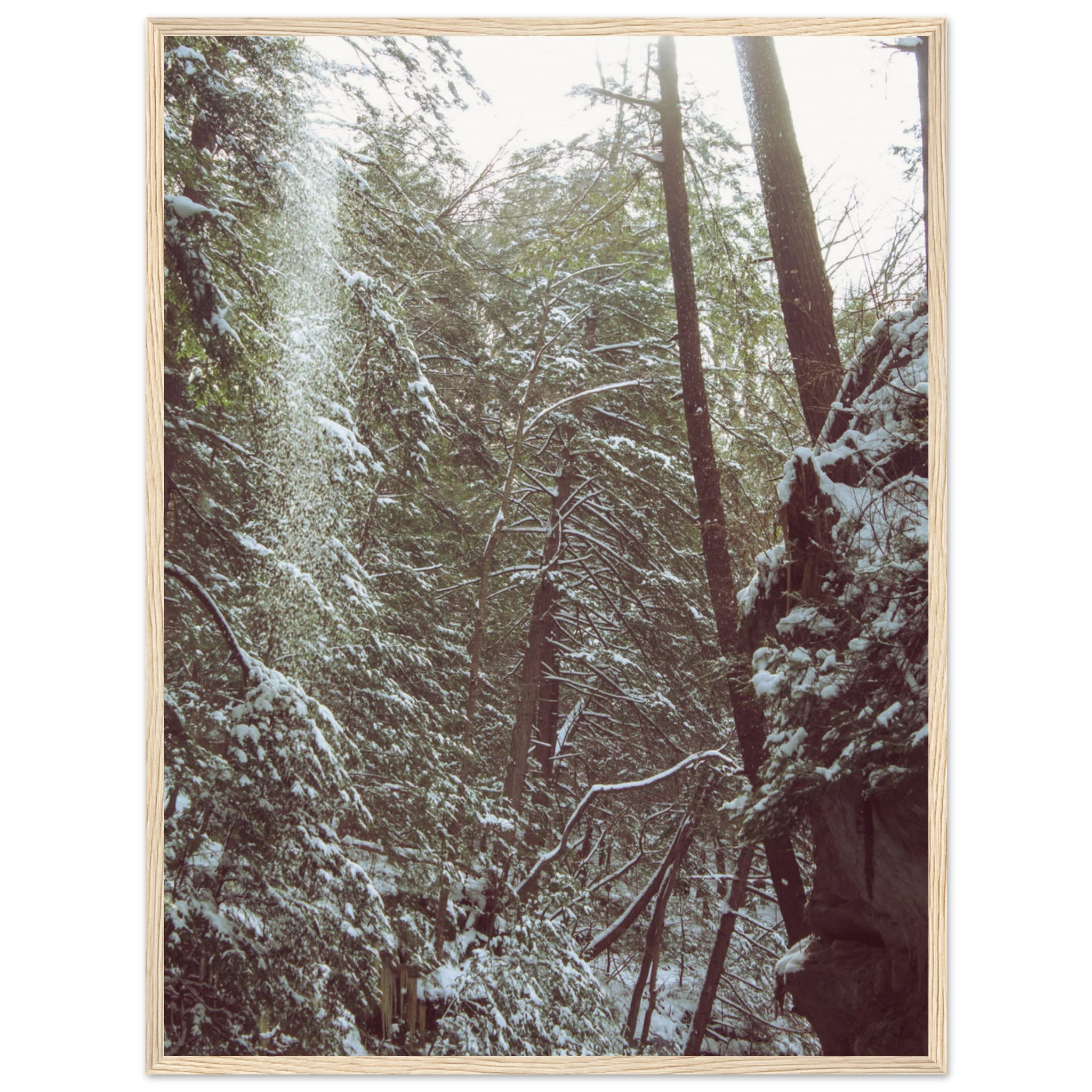 Hocking Hills Snow Fall In The Forest Photo Wall Art 37b02d46-055d-4e46-8e76-ed7cddb798ac