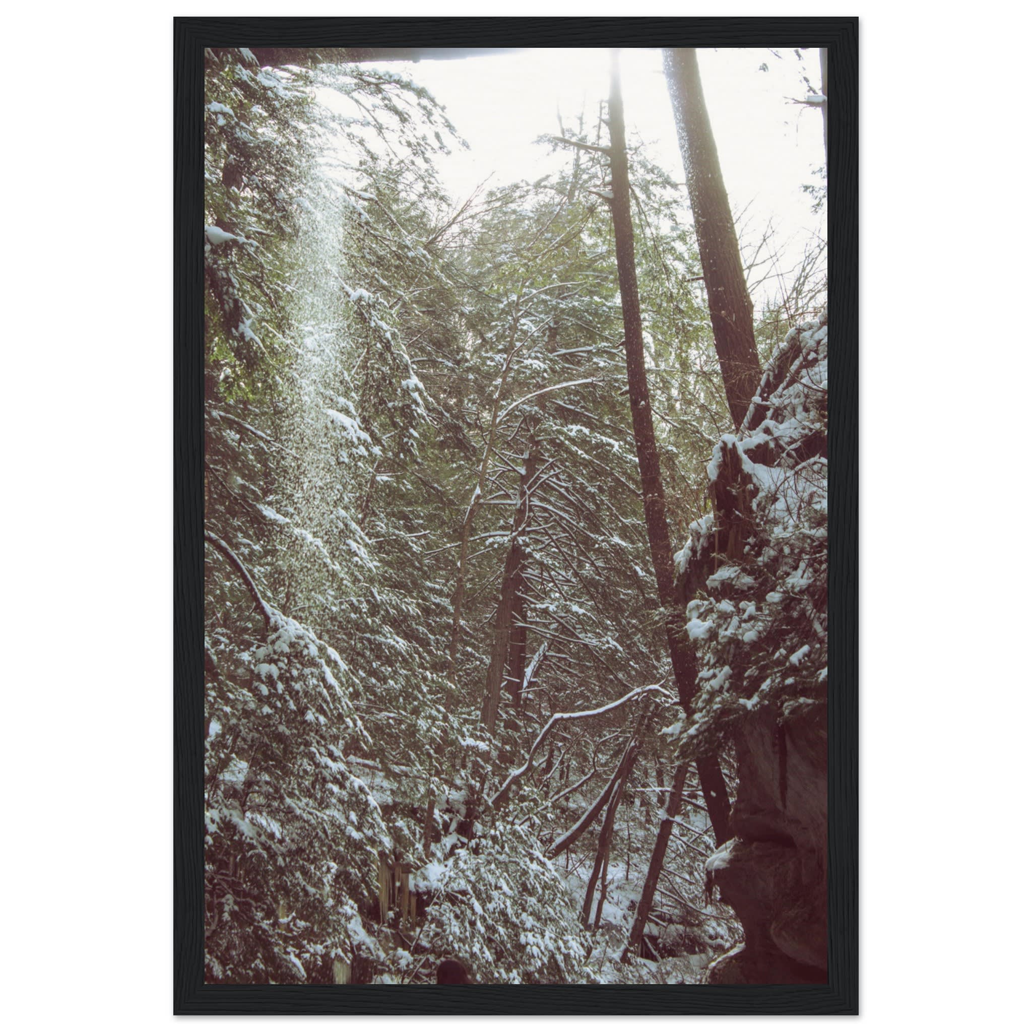 Hocking Hills Snow Fall In The Forest Photo Wall Art 1a9bd22a-5693-437c-9909-91220a858c1e