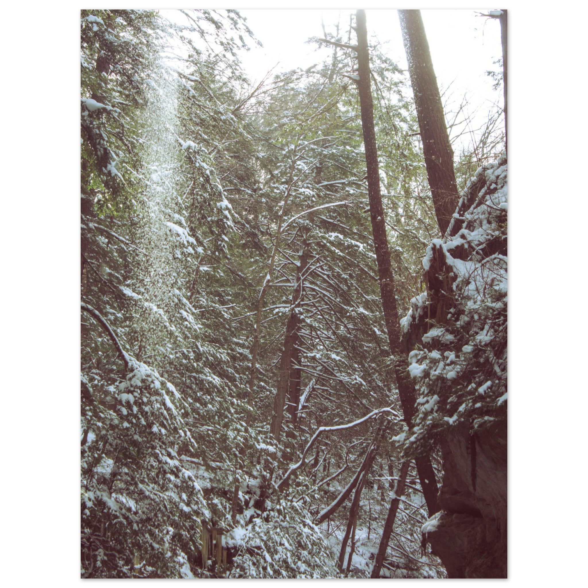 Hocking Hills Snow Fall In The Forest Photo Wall Art aa4119c7-fb37-49de-b8cc-36d63b06dc13