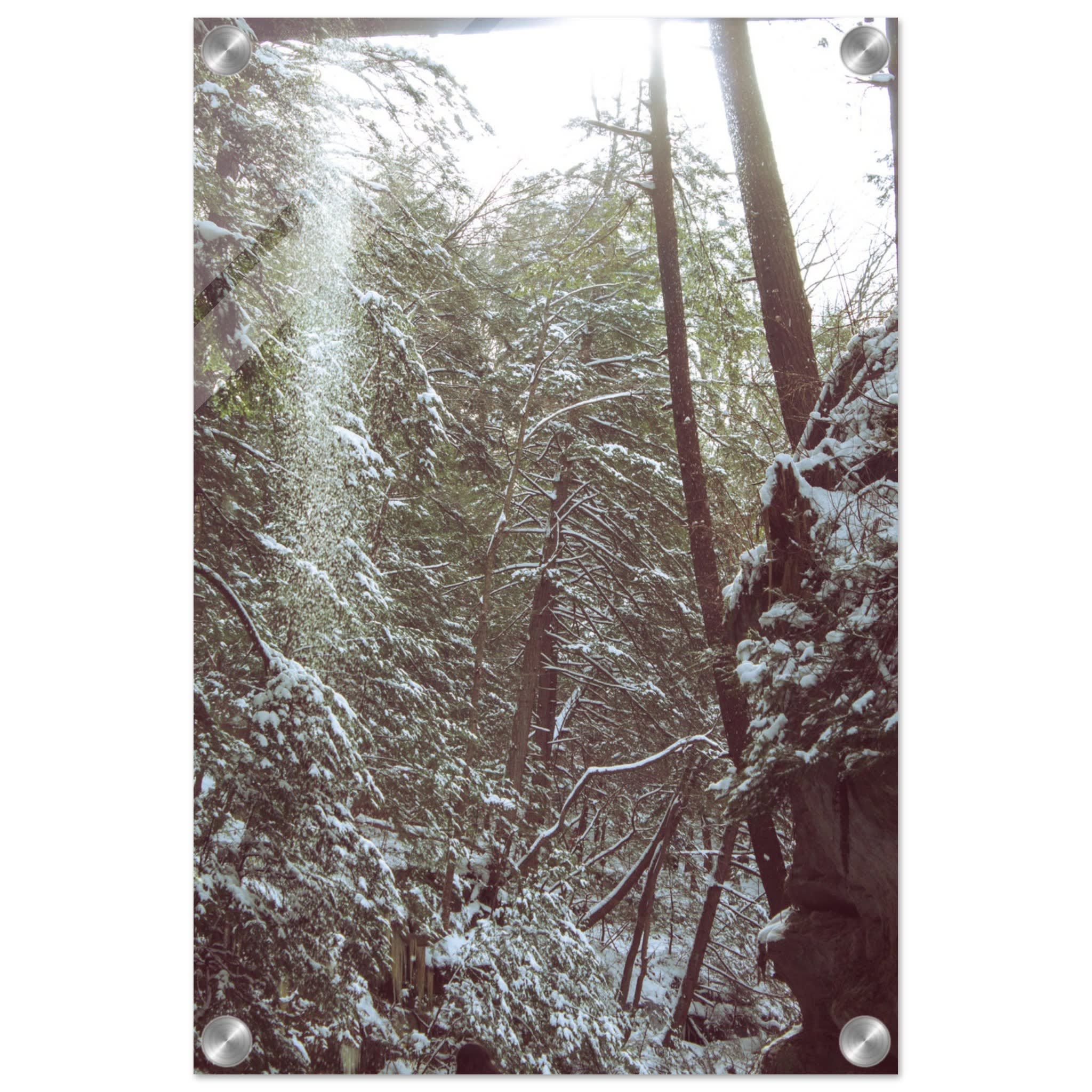 Hocking Hills Snow Fall In The Forest Photo Wall Art 369ff6a5-893a-49eb-ac59-789e26ffb4d6