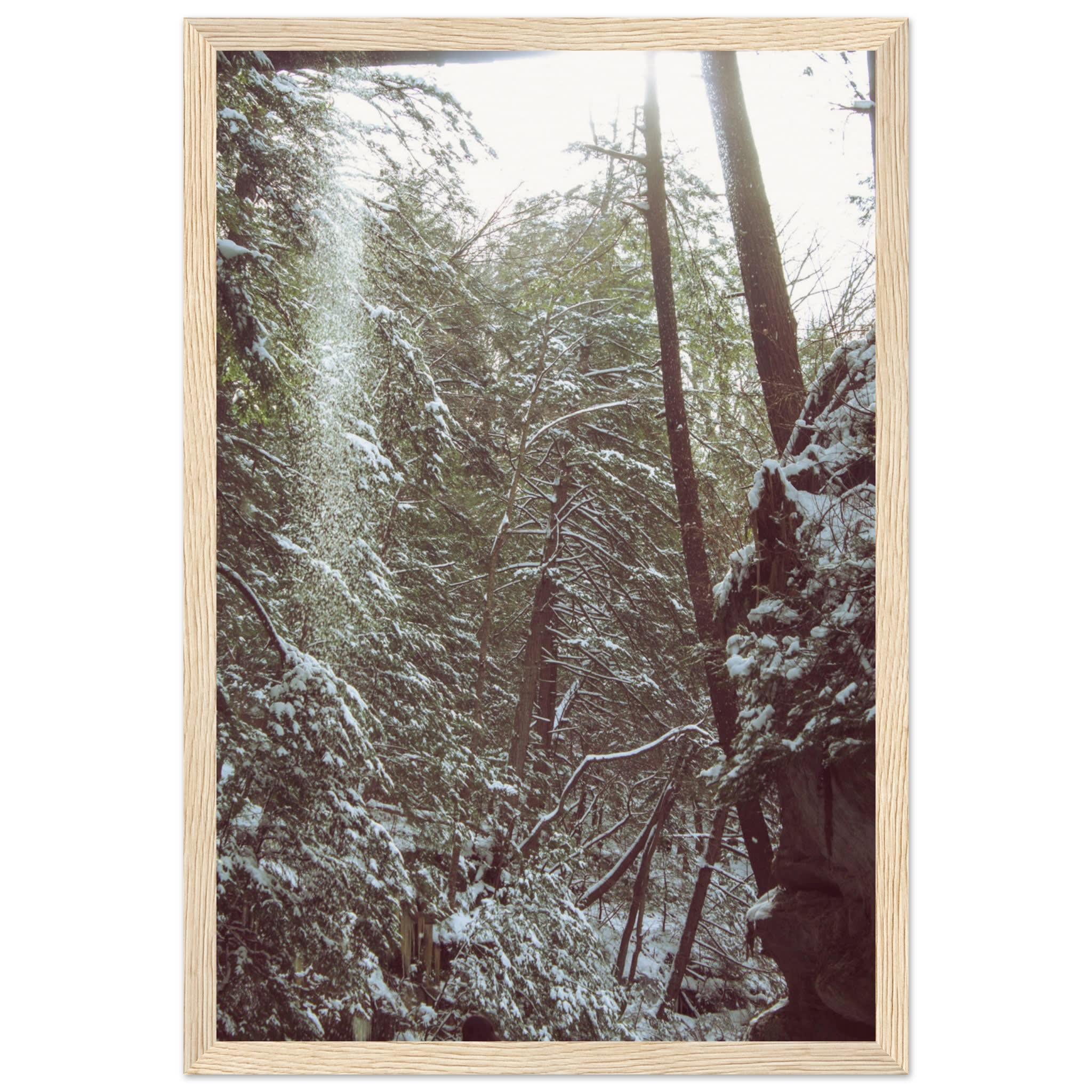 Hocking Hills Snow Fall In The Forest Photo Wall Art 285e9f3f-5e5d-417f-8113-dd59428fc8ae