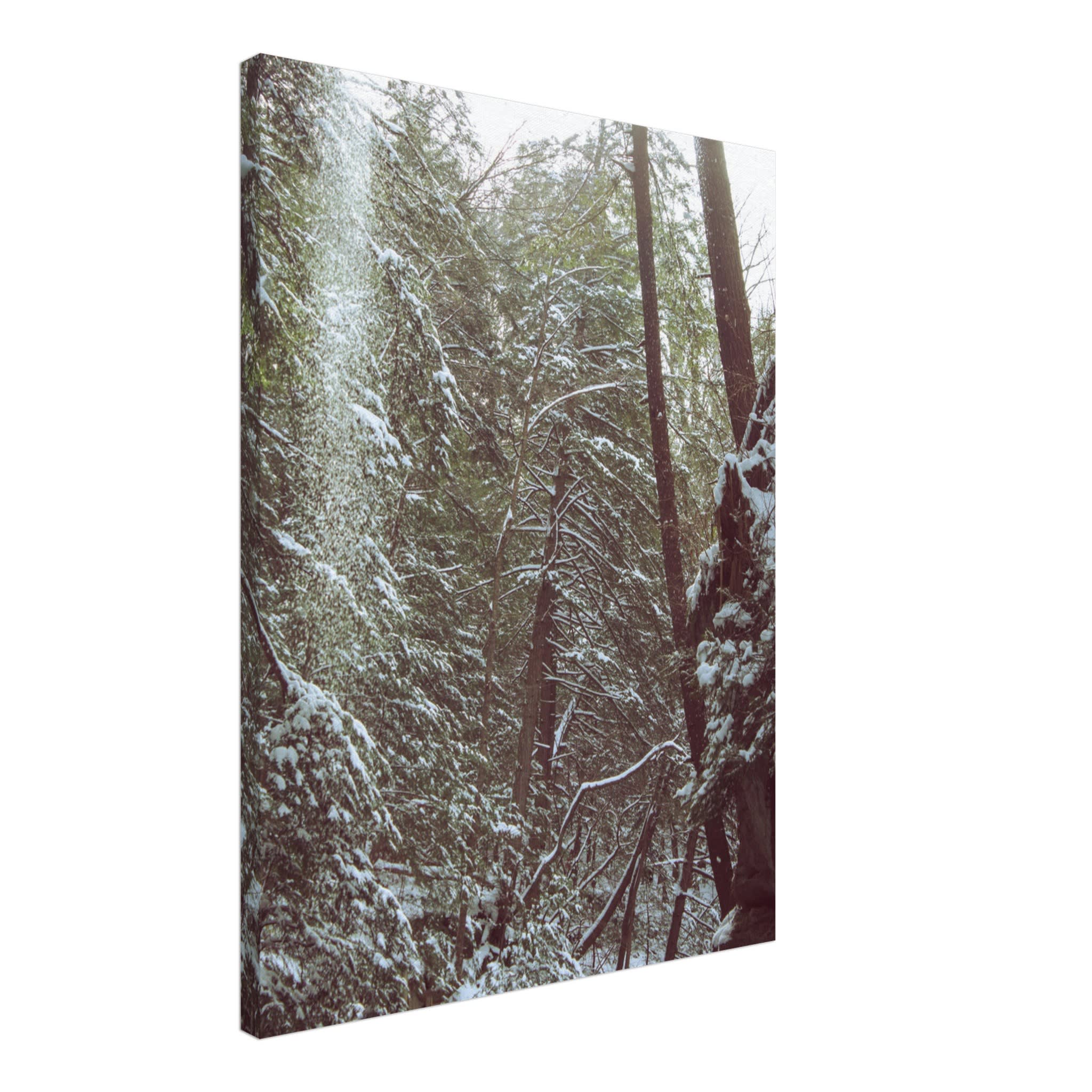 Hocking Hills Snow Fall In The Forest Photo Wall Art c636095c-7c0a-4874-9446-b71412892bcc