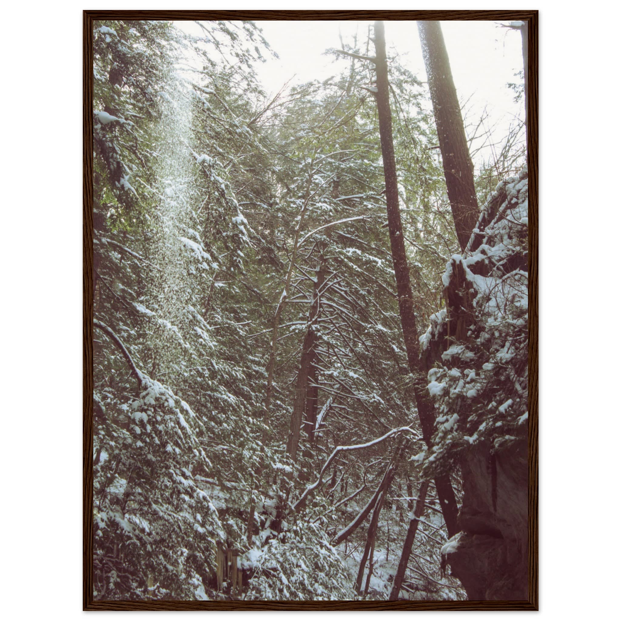 Hocking Hills Snow Fall In The Forest Photo Wall Art d37d5ce5-b3e9-4e44-900d-3d7fb4c77369