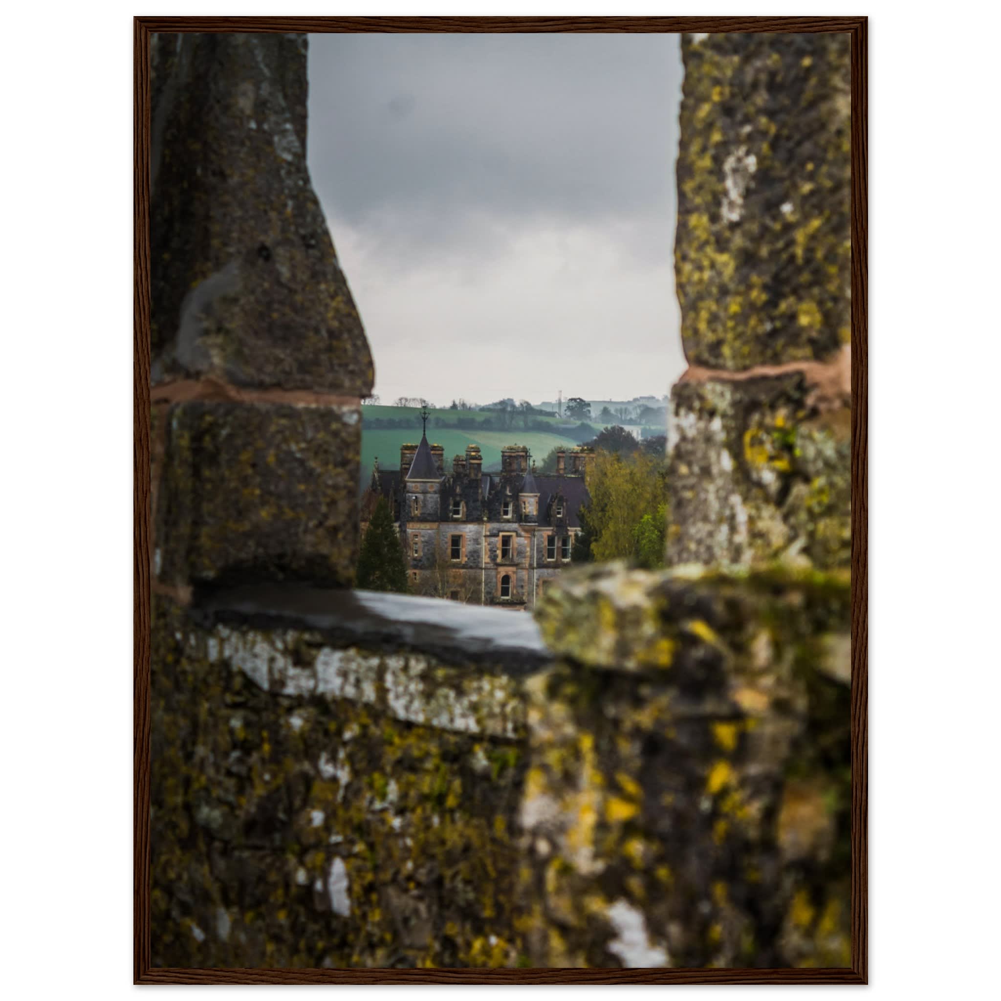 Blarney House from Blarney Castle Photo Wall art 1885b890-a6fe-41f9-a03f-7621753a11c3