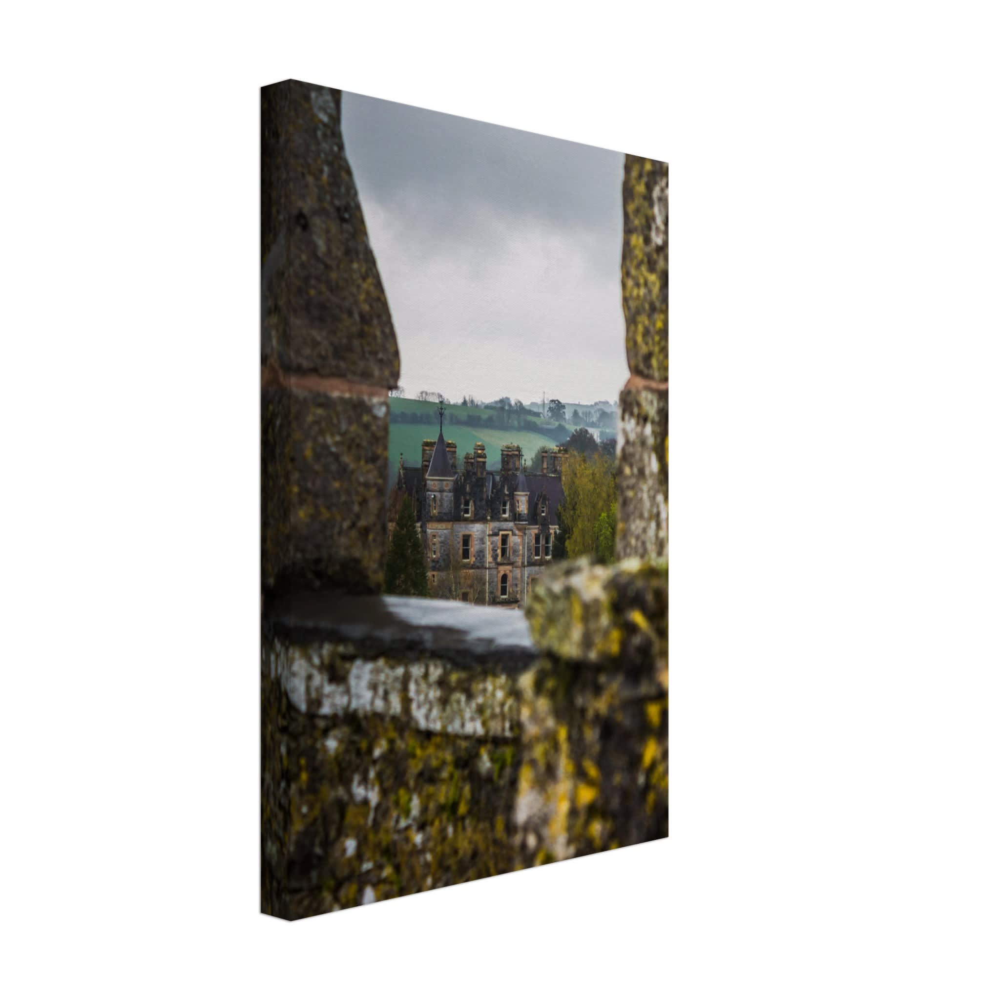 Blarney House from Blarney Castle Photo Wall art 9ddcdf4b-422f-4bfb-a4f8-70a19d401e11