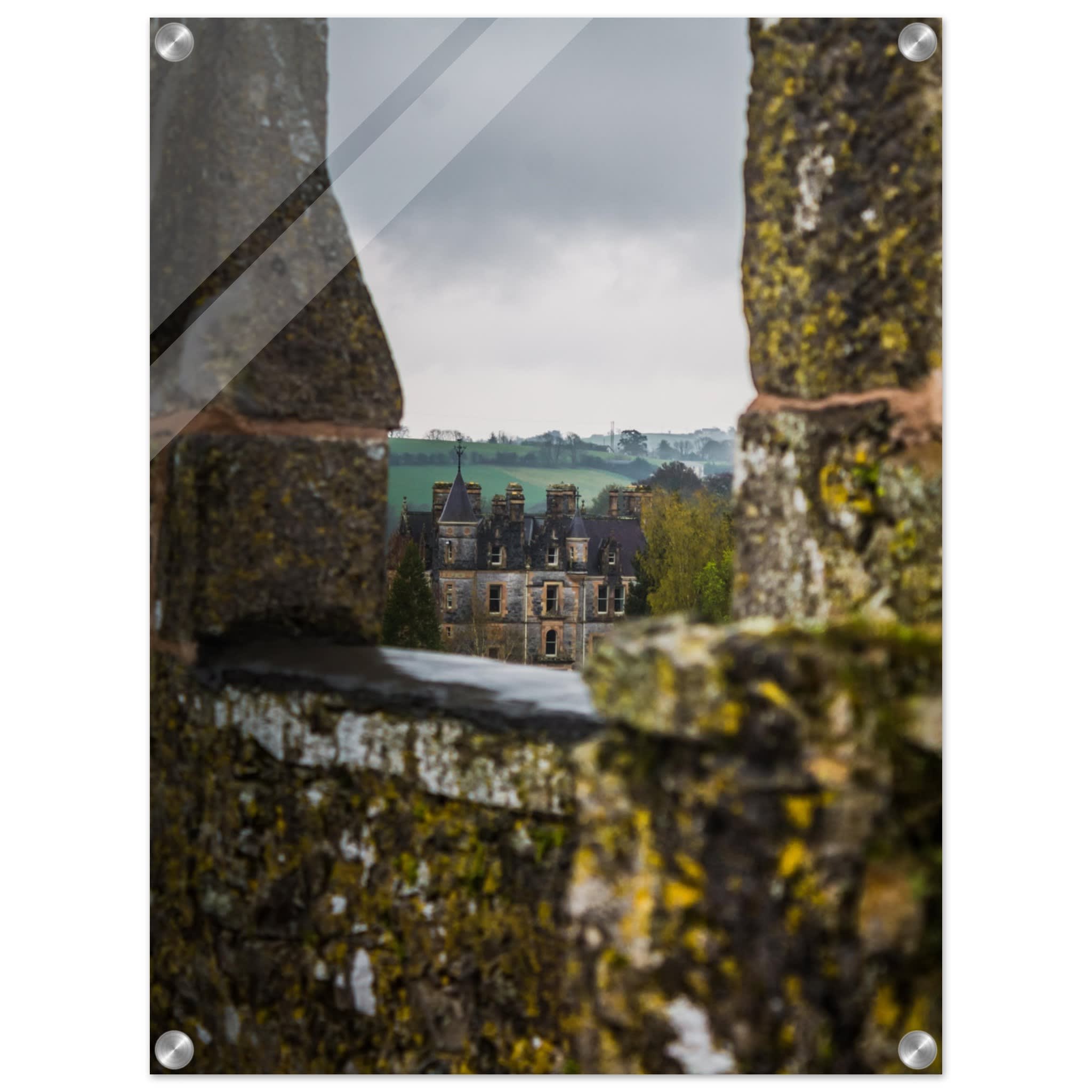 Blarney House from Blarney Castle Photo Wall art 61d14b35-e496-4c76-817c-cb50329a468c