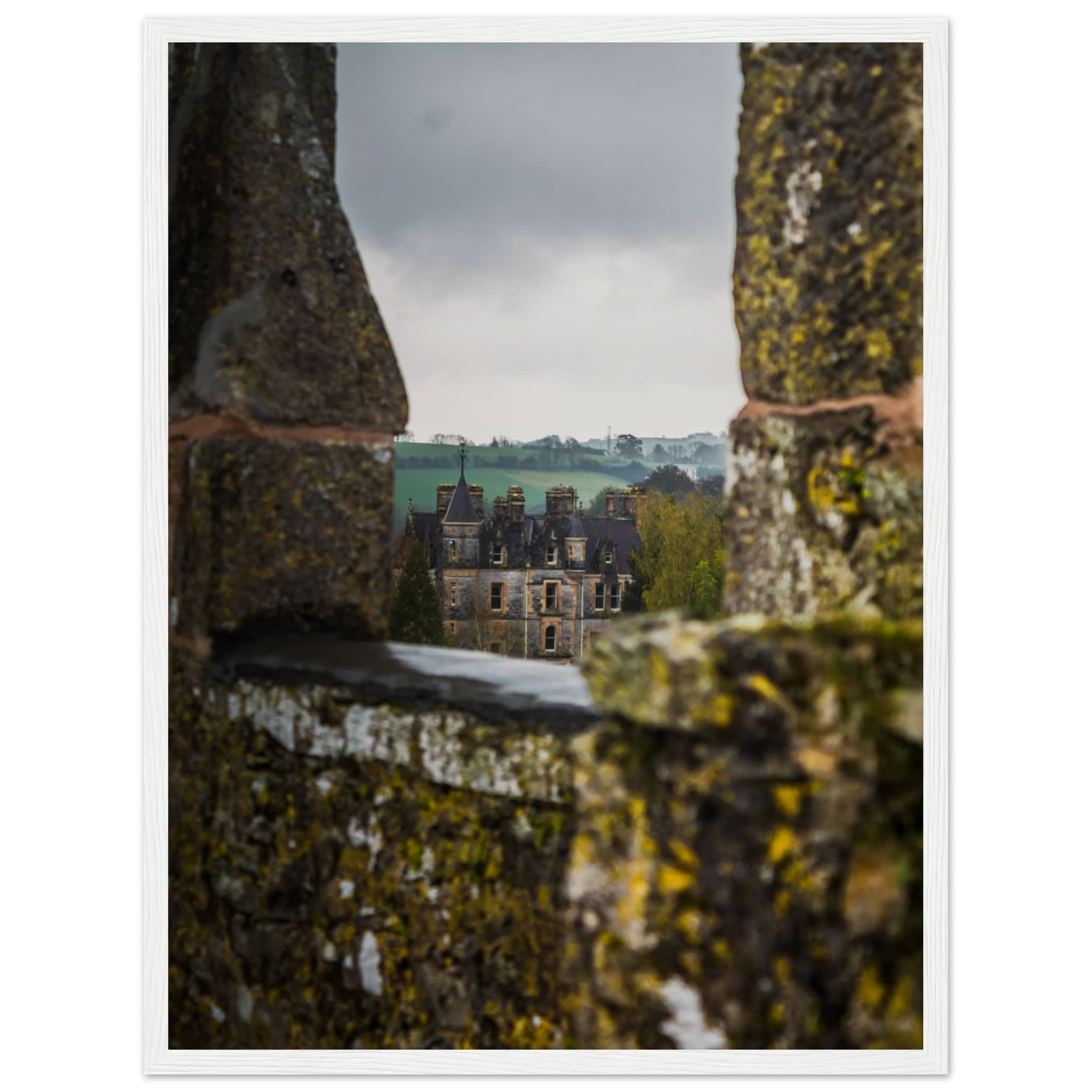 Blarney House from Blarney Castle Photo Wall art ec061601-2e9b-48c5-9810-4da1fff14d78