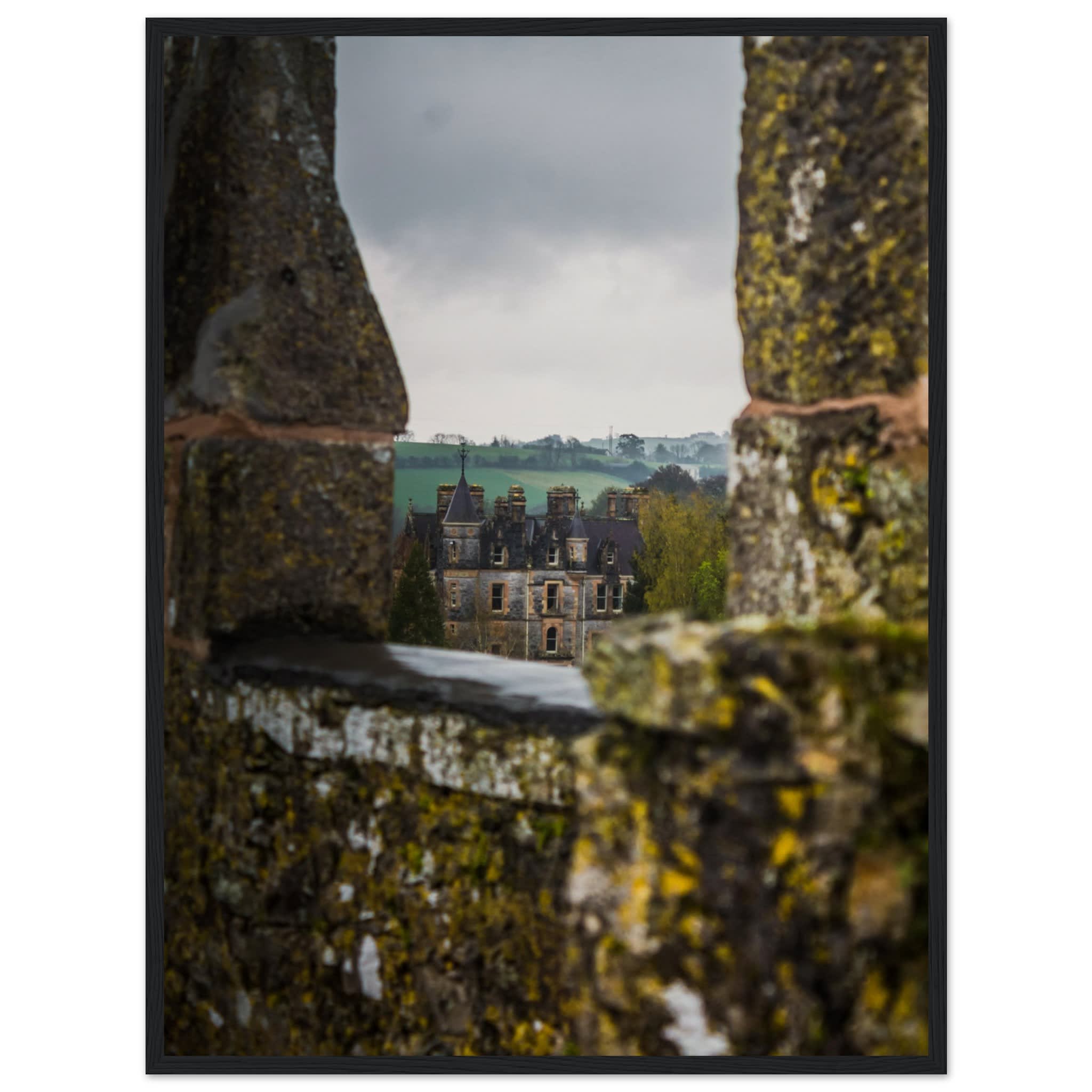 Blarney House from Blarney Castle Photo Wall art 6586c127-96c0-41d6-83e2-f11a89d88694