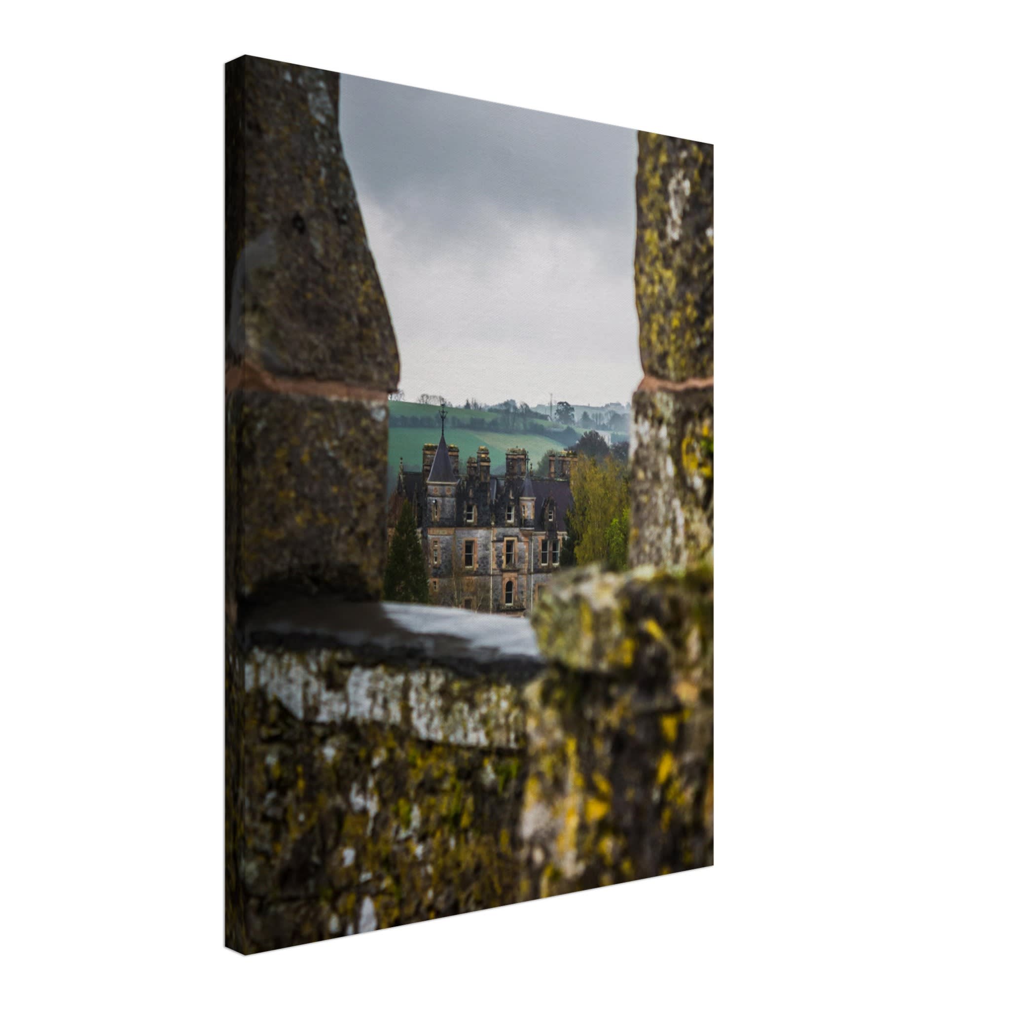 Blarney House from Blarney Castle Photo Wall art e756d003-8b42-4b1c-a9e0-99cd6b0425df