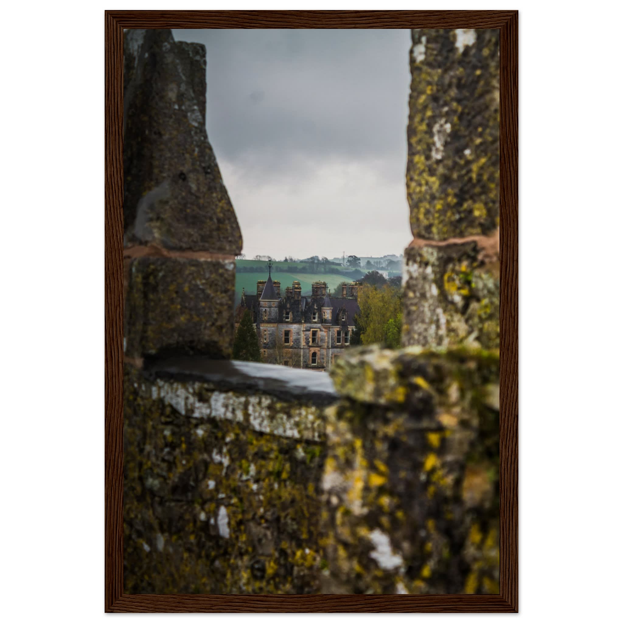 Blarney House from Blarney Castle Photo Wall art 0eb1e7d5-ab9d-4cee-8a39-d71bc7dc7432