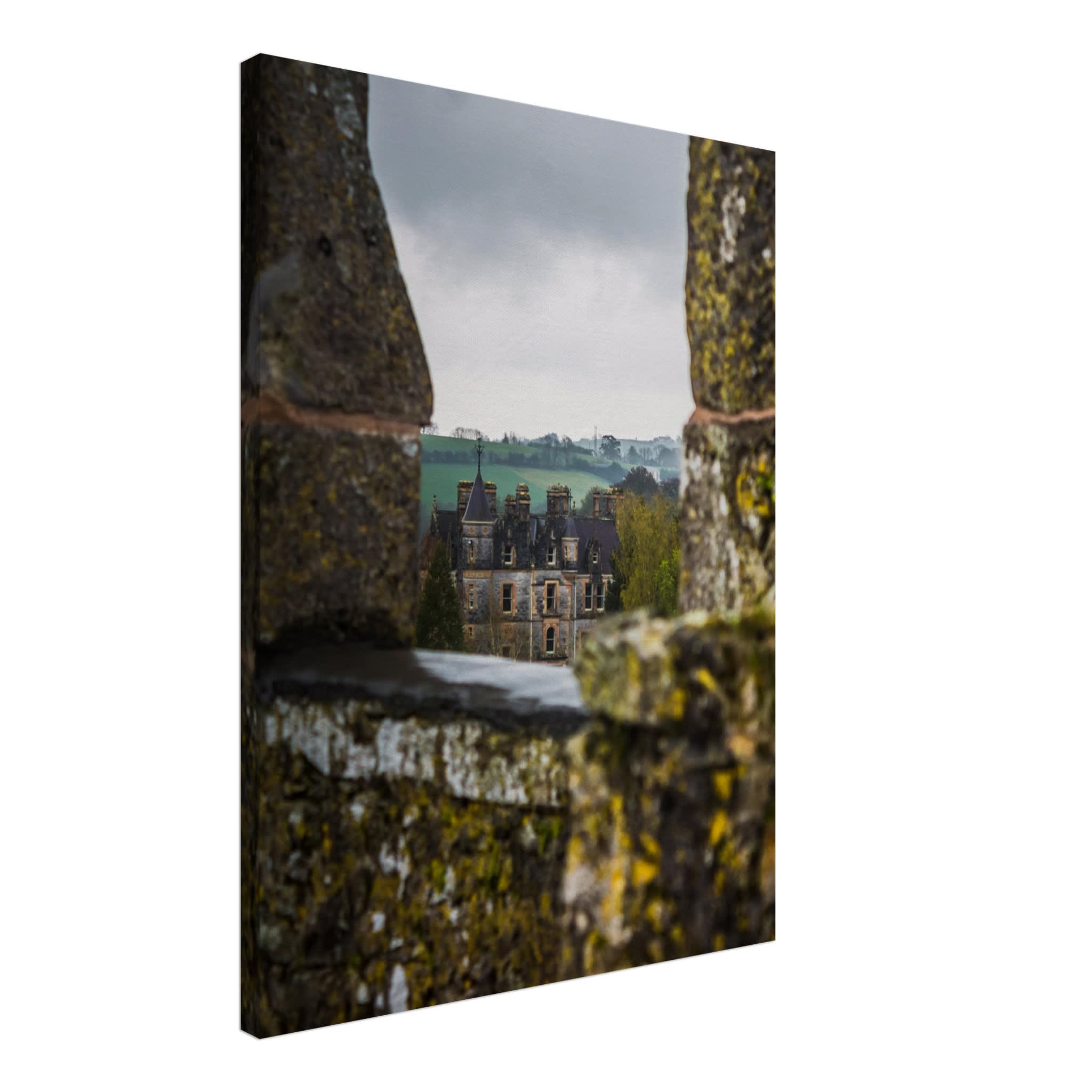 Blarney House from Blarney Castle Photo Wall art 6ce093c9-3f9c-4bc1-aed2-f343a92277d3