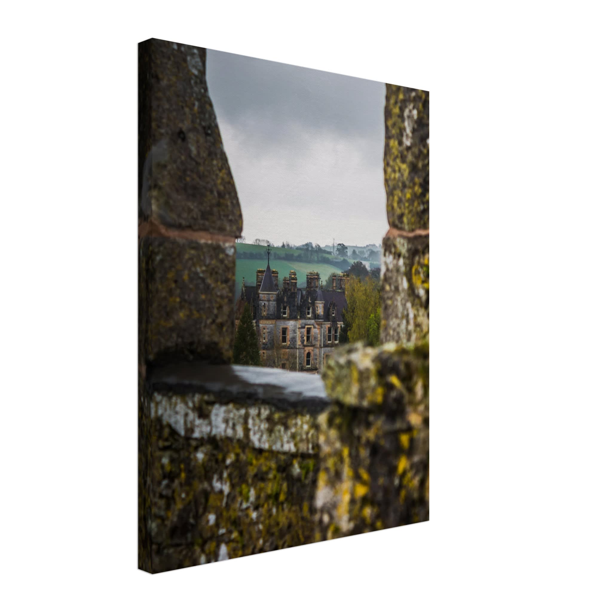 Blarney House from Blarney Castle Photo Wall art b839e0c2-fec6-4d1a-9588-7d44a4549f85