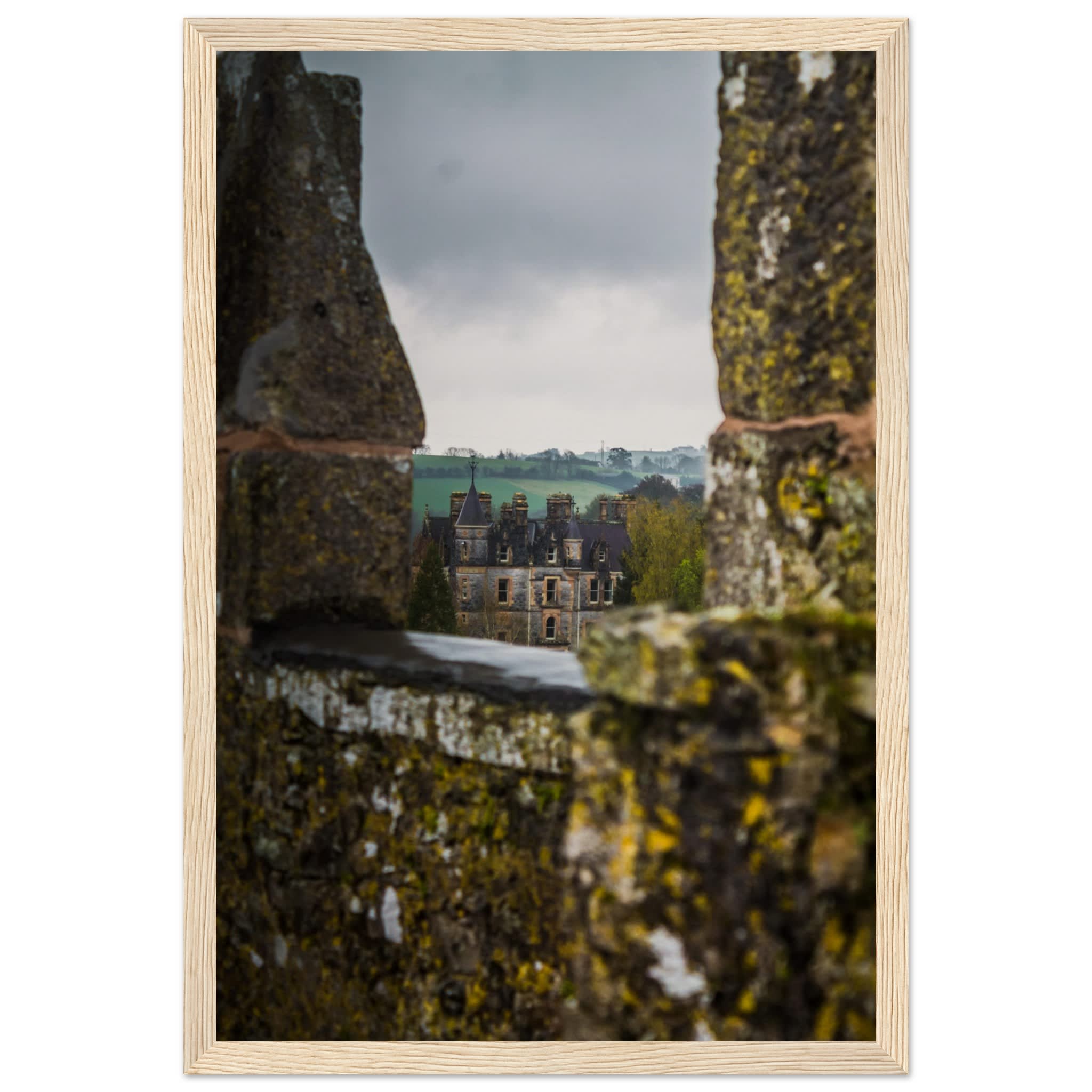 Blarney House from Blarney Castle Photo Wall art 113ec839-8e09-4057-9a61-93e480417223