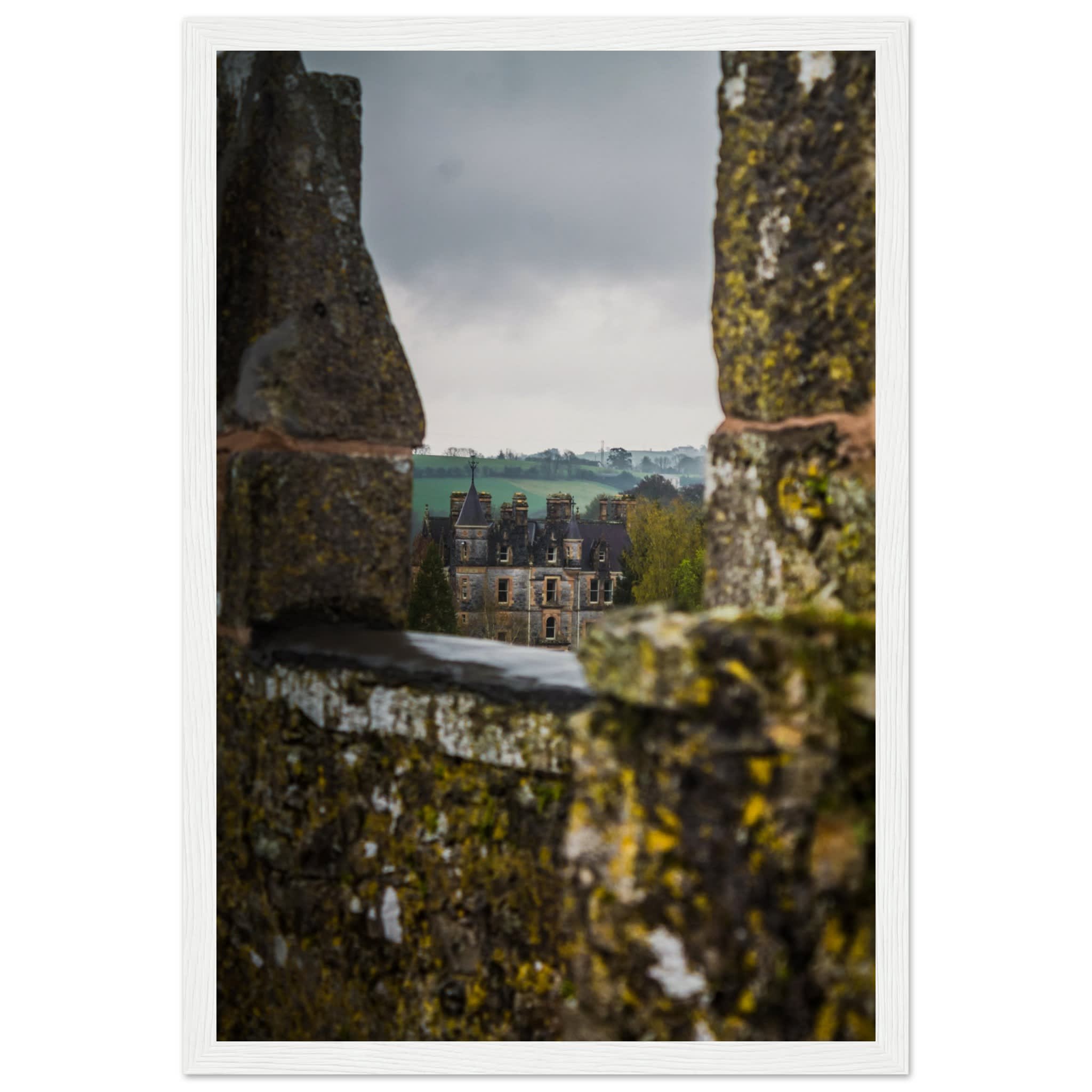Blarney House from Blarney Castle Photo Wall art fbd701f7-a841-4656-a4d1-8985923483d2