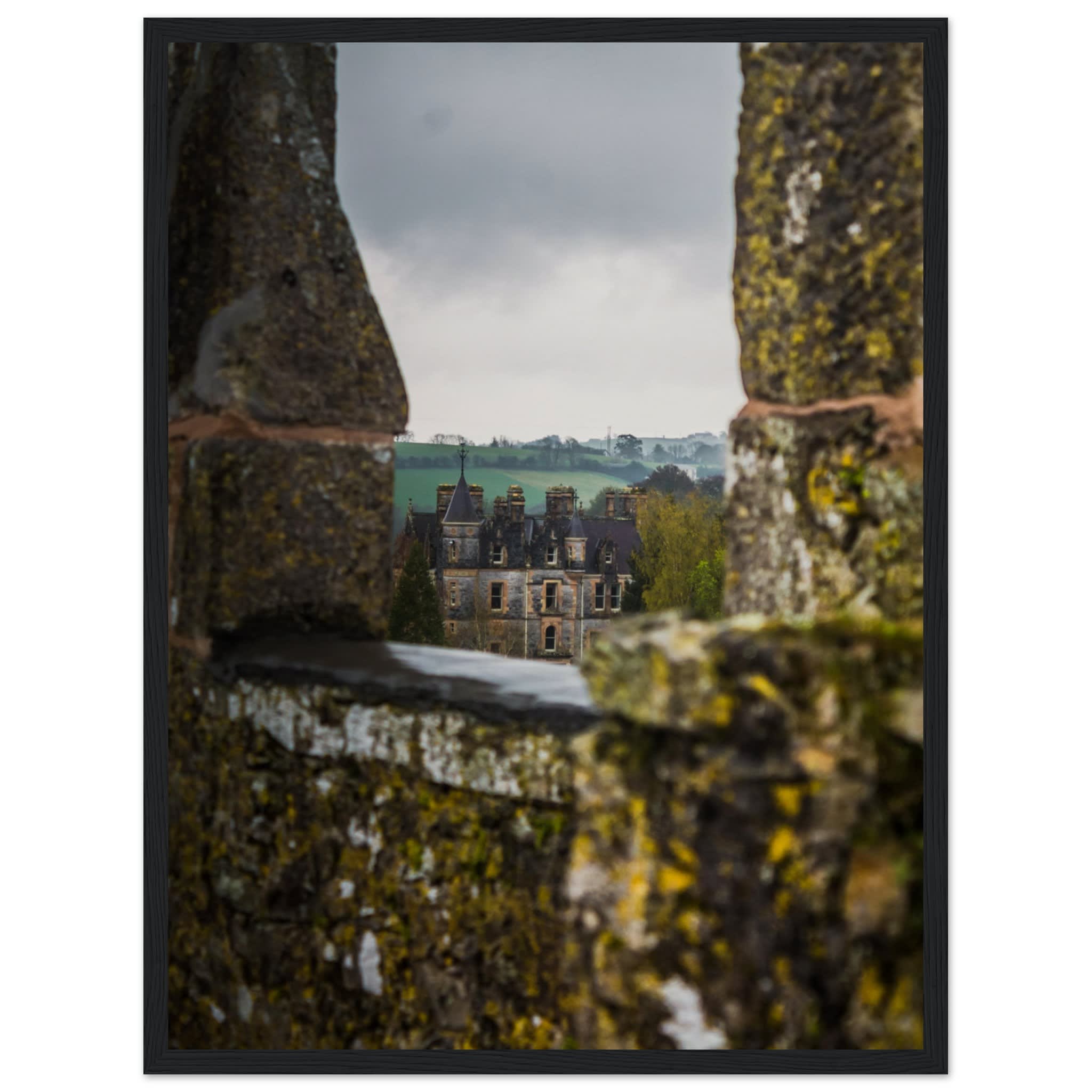 Blarney House from Blarney Castle Photo Wall art 28e5cba7-d0c9-40d3-a32a-82c60767bc8d
