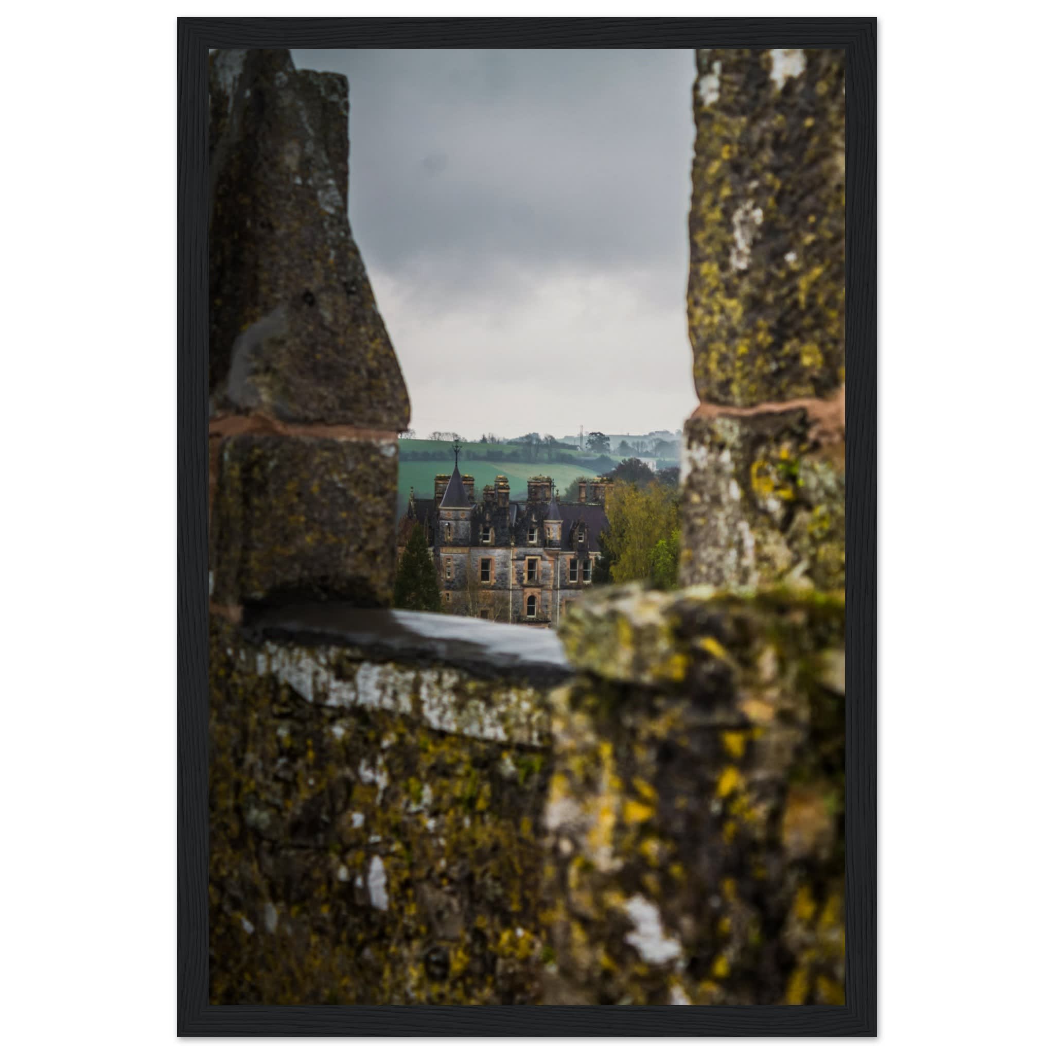 Blarney House from Blarney Castle Photo Wall art 29e9b073-ecd2-4925-912b-031b6d6eba51