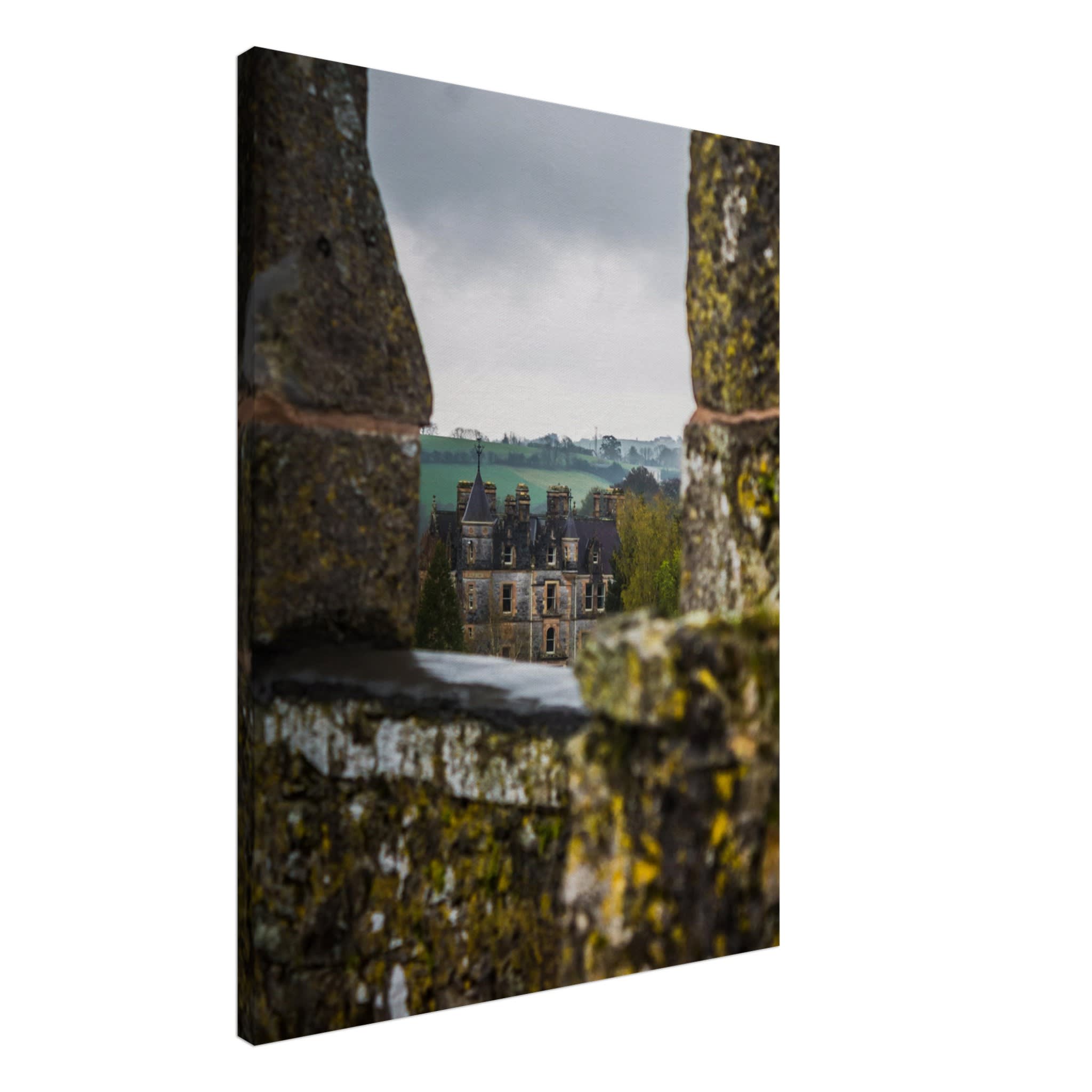 Blarney House from Blarney Castle Photo Wall art 72bc3fa4-9fa4-4297-a635-48ab7fb8d5c9