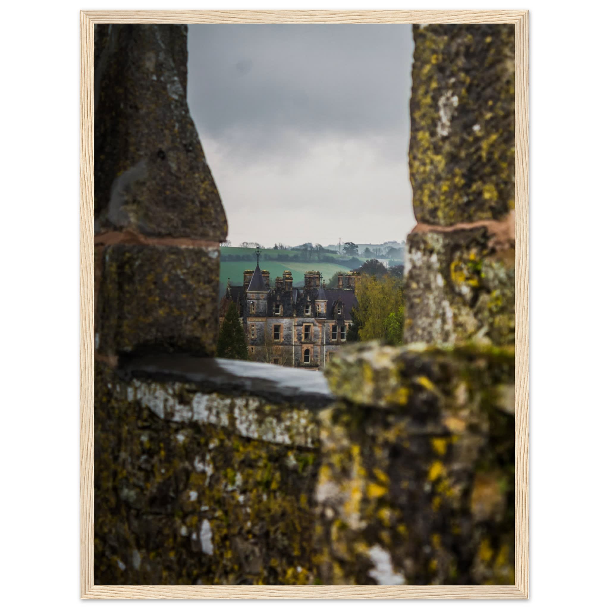 Blarney House from Blarney Castle Photo Wall art b45f7c0f-d1d2-4680-8fca-55a2b5782773