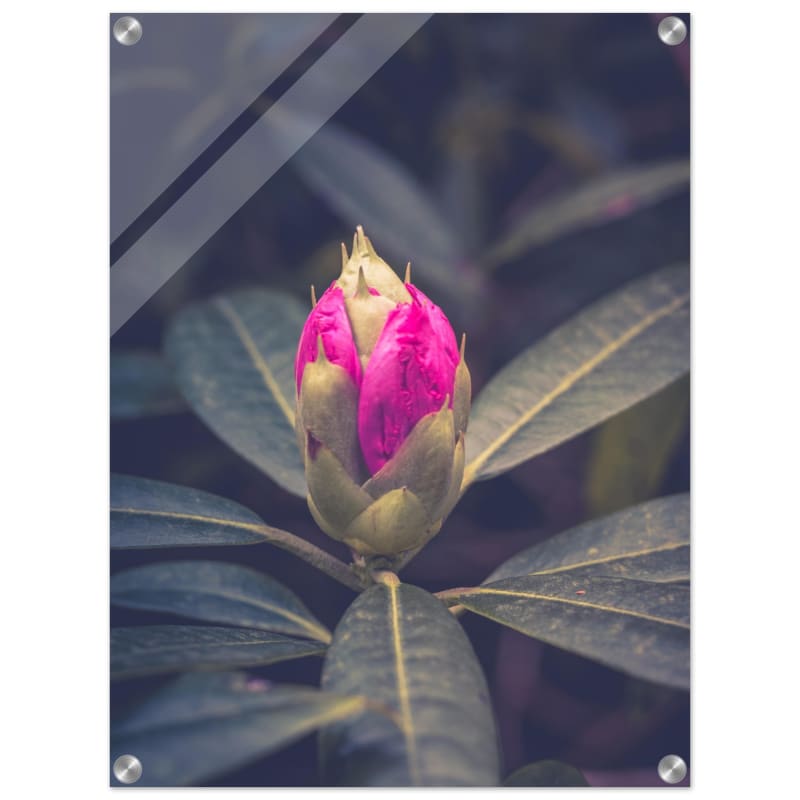 febcbcfb-a6db-4341-bc72-428f52c1eca4