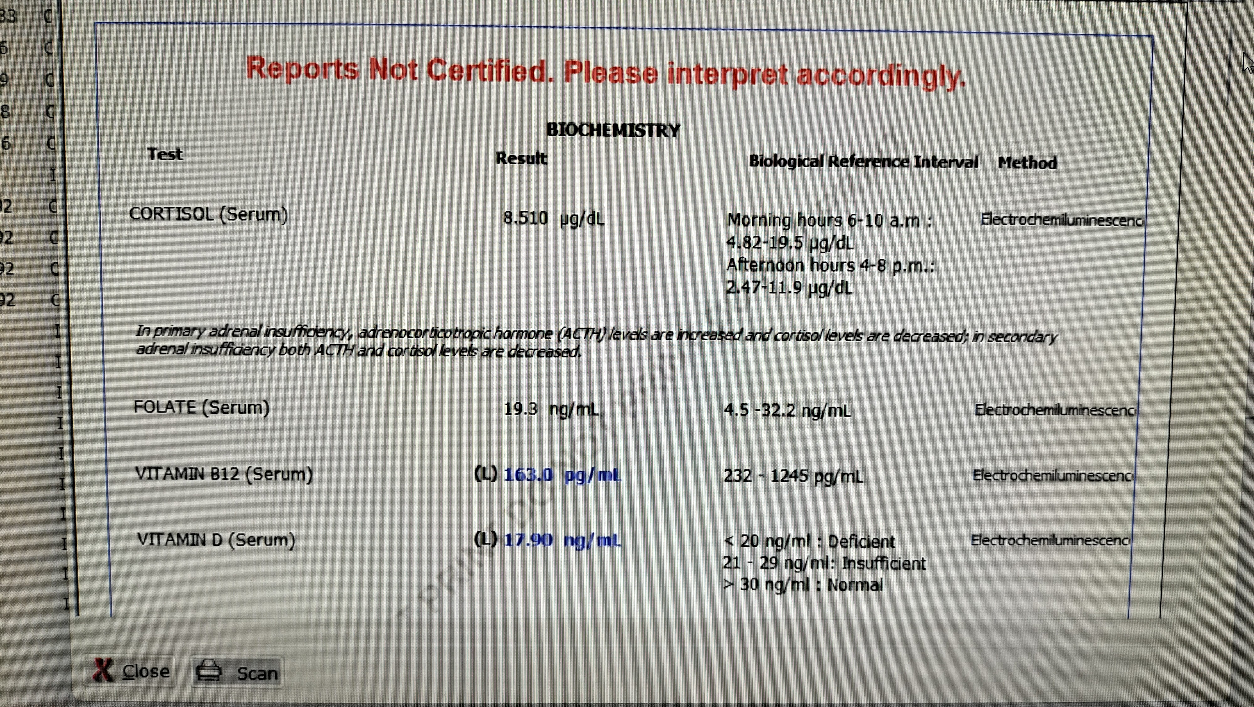 Lab Reports