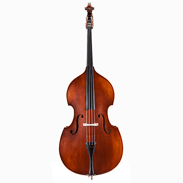 String Bass